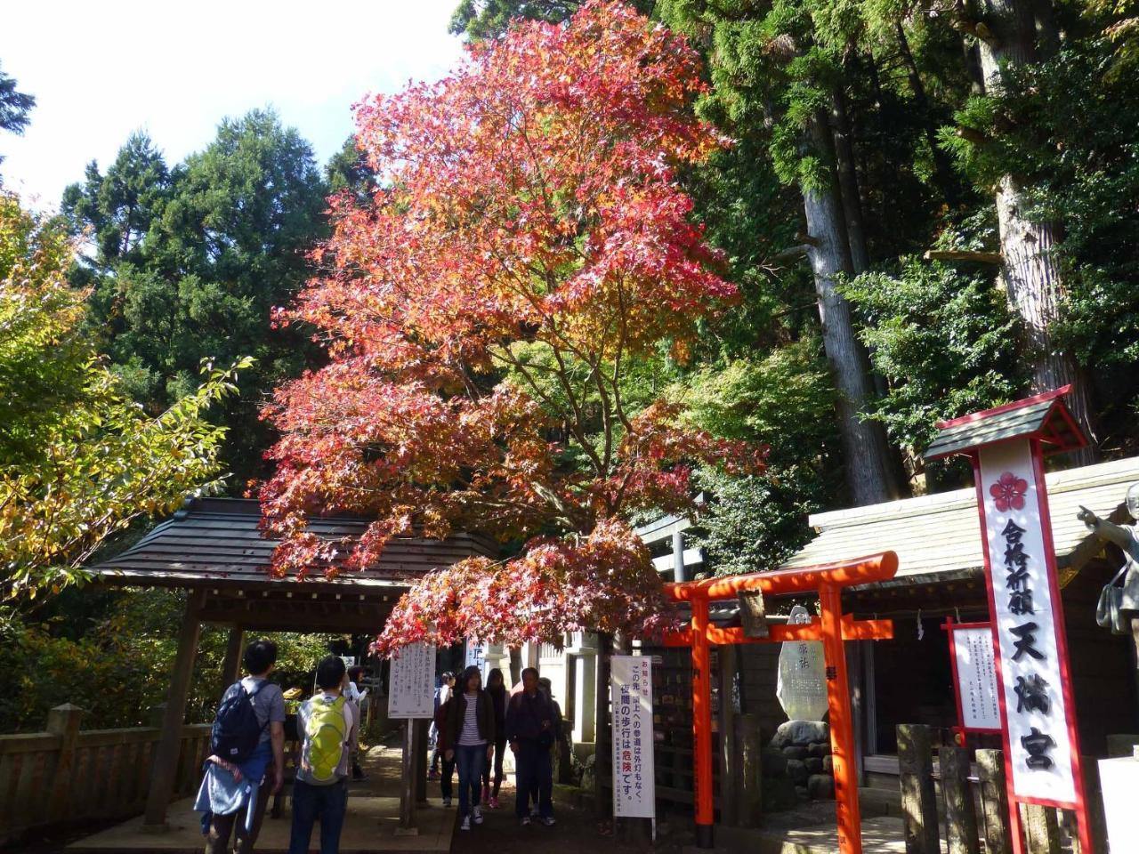 Togakubo Hotel Isehara Exterior photo